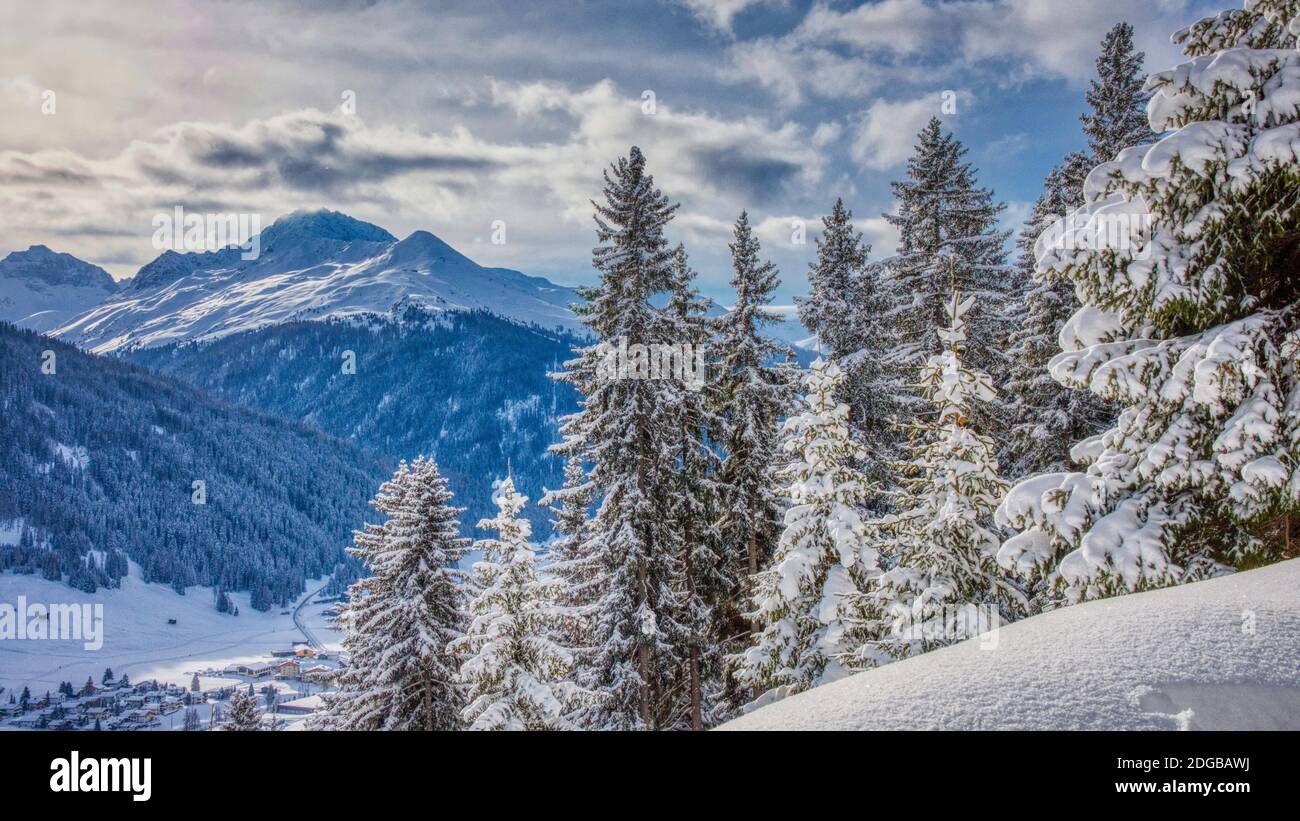 Una montagna innevata con una foresta innevata a. Davos Foto Stock