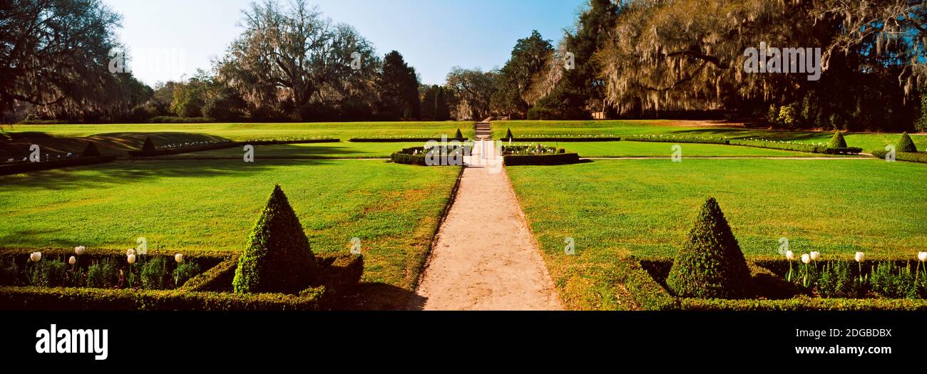 Alberi in un giardino, Middleton Place, Charleston, Carolina del Sud, Stati Uniti Foto Stock