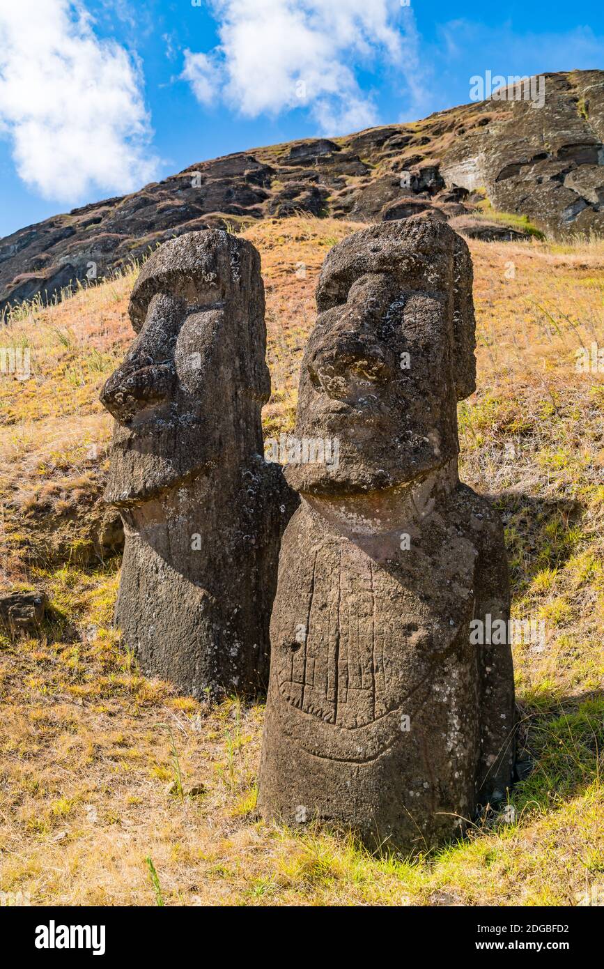 La grande statua in pietra, Moai a Rano Raraku sull'Isola di Pasqua o Rapa Nui Foto Stock