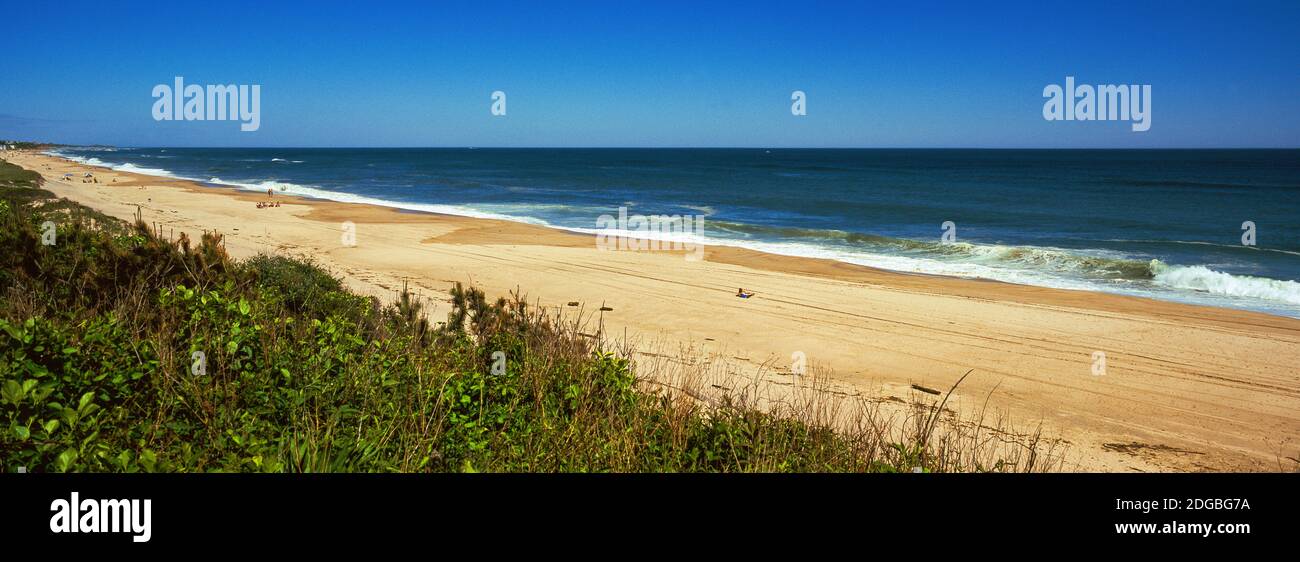 Erba sulla spiaggia, Montauk Point, Montauk, Suffolk County, New York state, Stati Uniti Foto Stock