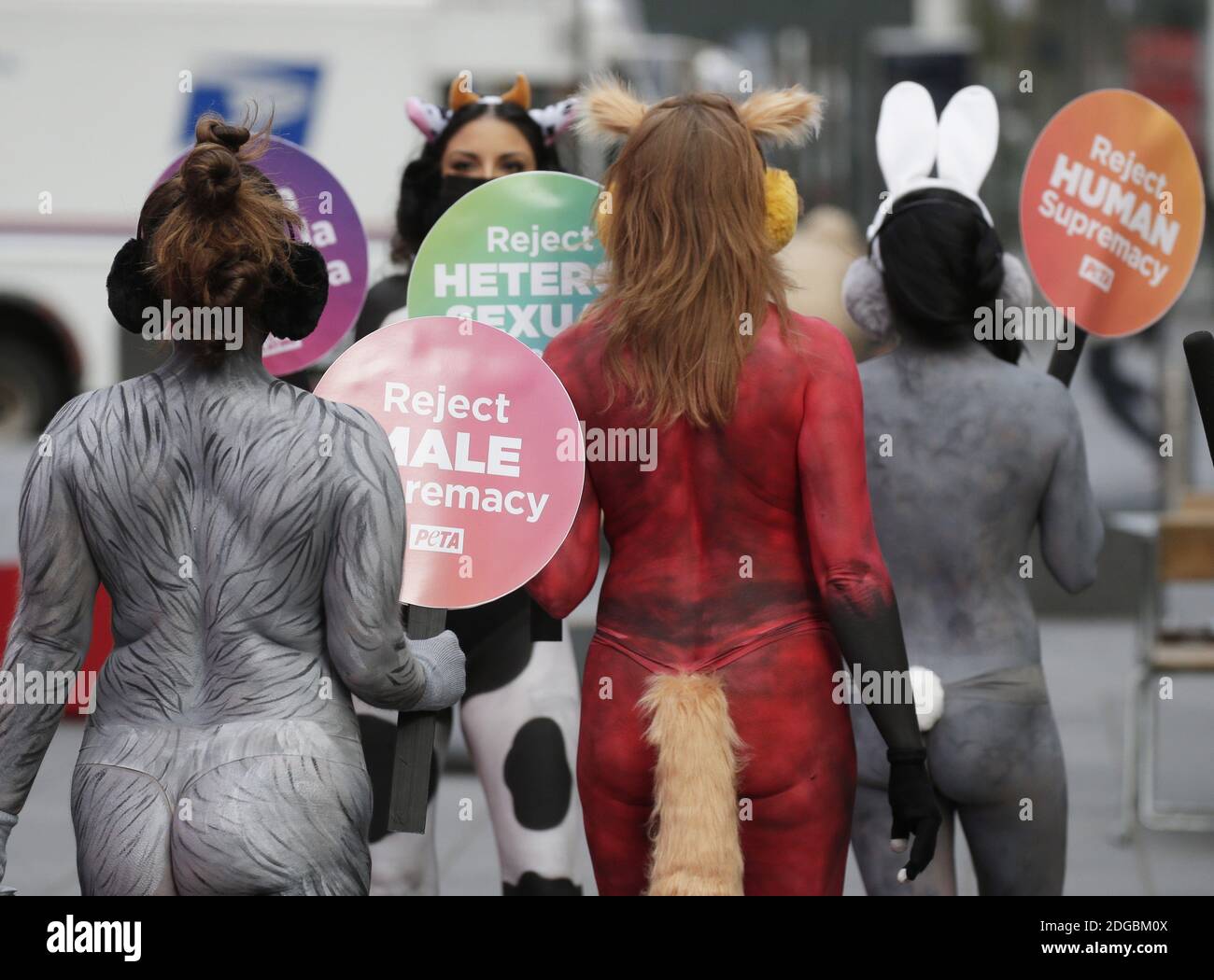 New York, Stati Uniti. 8 dicembre 2020. I manifestanti DI PETA che indossano la vernice del corpo per sembrare animali tengono in su i segni in Times Square a New York City martedì 8 dicembre 2020. I sostenitori DI PETA dipinsero come una mucca, un coniglio, una volpe, un'oca e una tigre riuniti in Times Square tenevano segni che annunciavano: "Rifiuto della supremazia BIANCA", "rifiuto della supremazia ETEROSESSUALE", "rifiuto della supremazia UMANA" e "rifiuto della supremazia MASCHILE". Foto di John Angelillo/UPI Credit: UPI/Alamy Live News Foto Stock