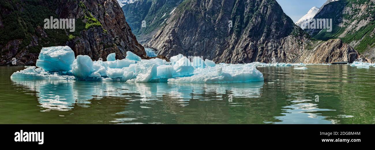 Iceberg galleggianti sulle acque del fiordo Tracy Arm, Alaska sudorientale, Alaska, Stati Uniti Foto Stock
