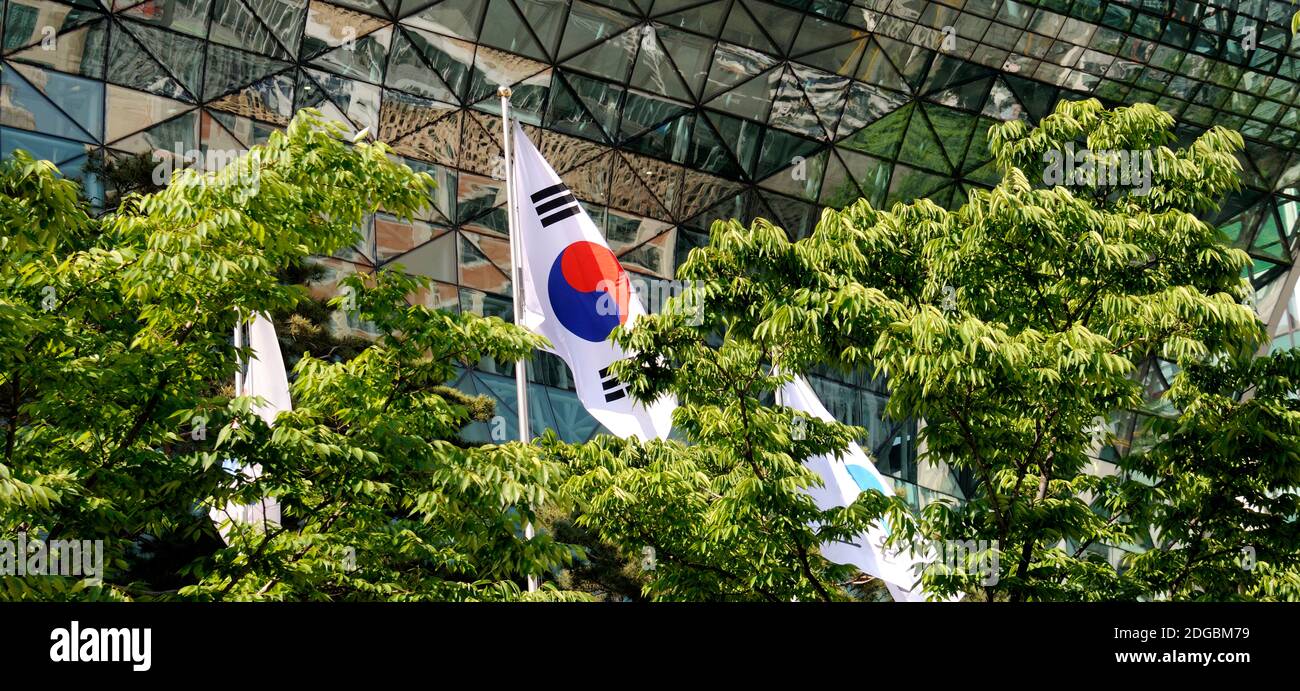 Vista ad angolo basso di bandiere e alberi di fronte al Municipio di Seoul, il Municipio di Seoul, Seoul, Corea del Sud Foto Stock