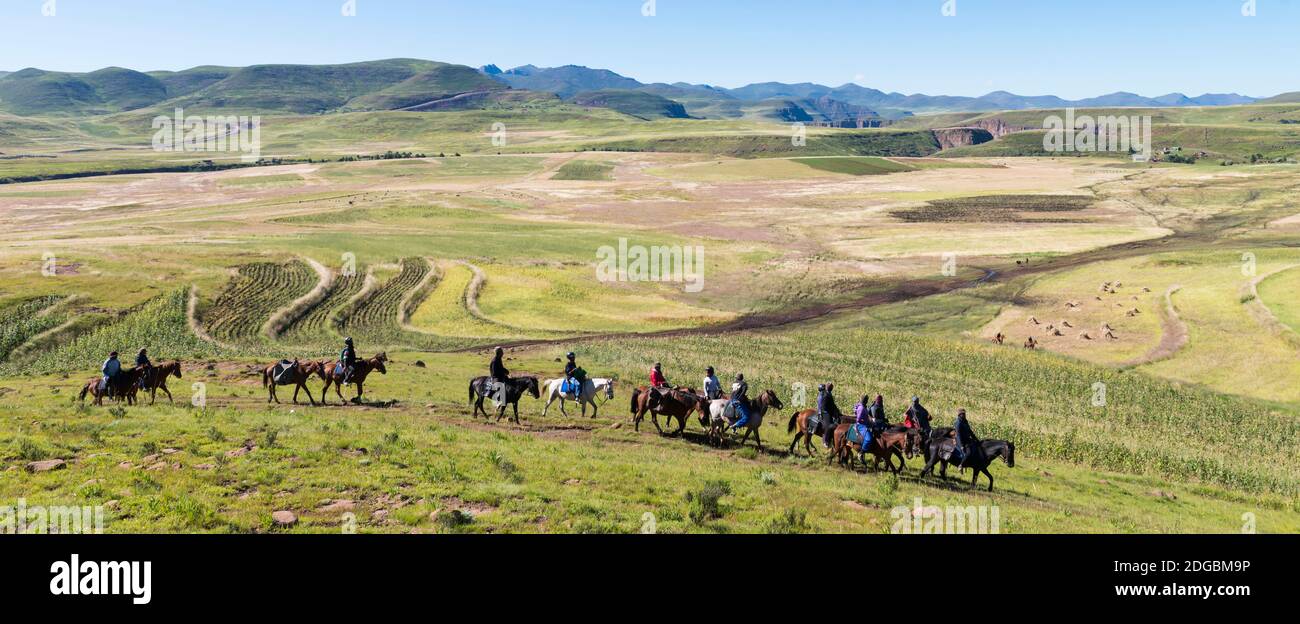 Gruppo di cavalieri che cavalcano attraverso i campi, Lesotho Highlands, Semonkong, Lesotho Foto Stock