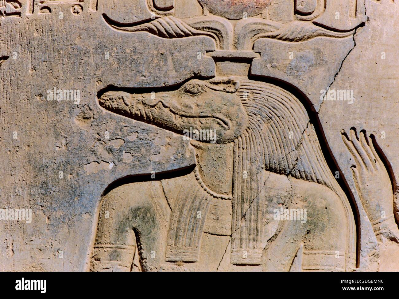 Dio Sobek dipinto scolpito su resti di una colonna, Tempio di Kom Ombo, Kom Ombo, Egitto Foto Stock