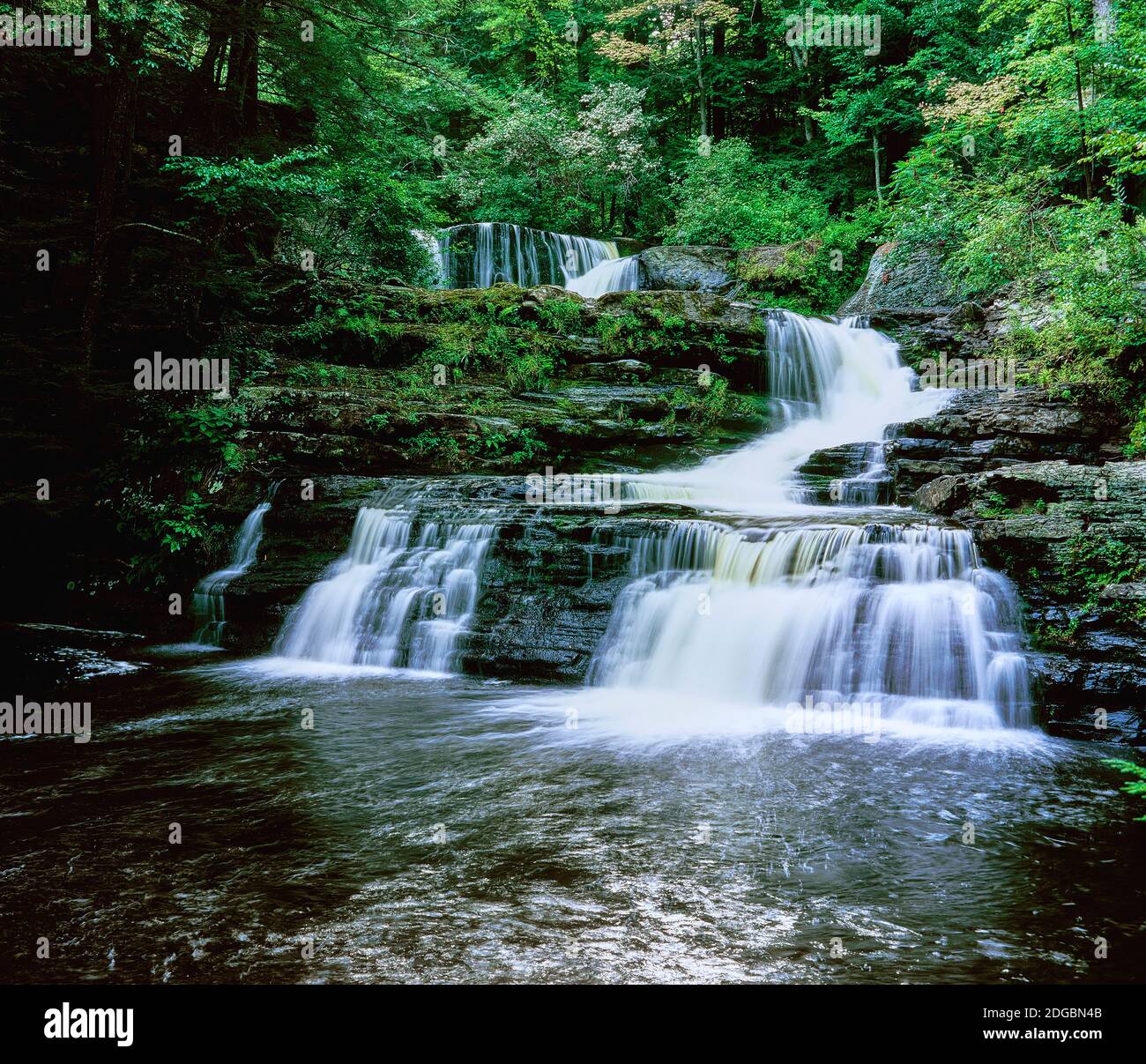 Acqua che cade dalle rocce, Dingmans Creek, George W Childs Recreation Site, Delaware Water Gap National Recreation Area, Pennsylvania, USA Foto Stock