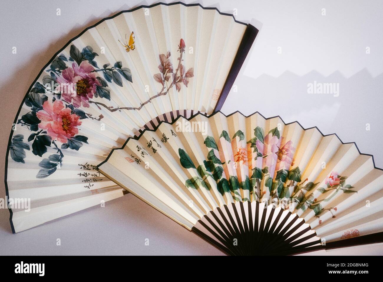 Ancora in vita del palmare ventole, STATI UNITI D'AMERICA Foto Stock