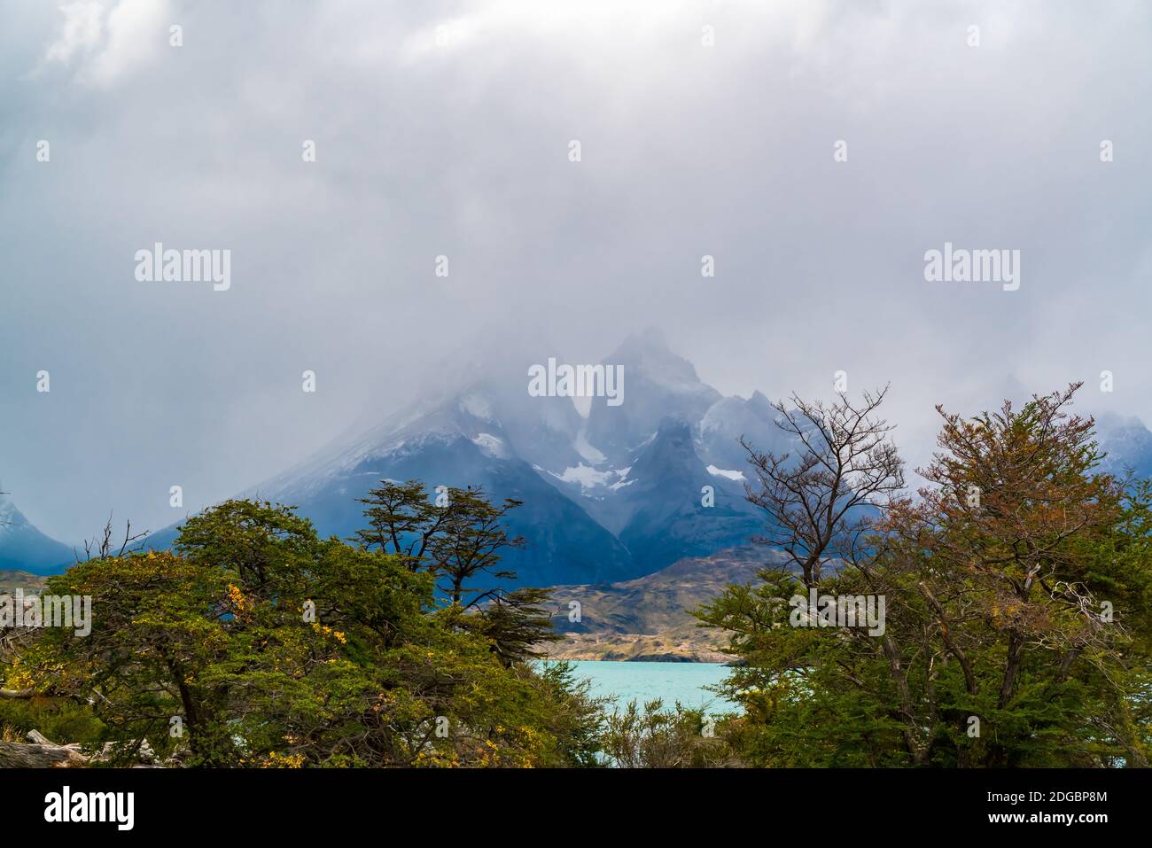 Paesaggio panoramico nel Parco Nazionale Torres del Paine in Cile Foto Stock