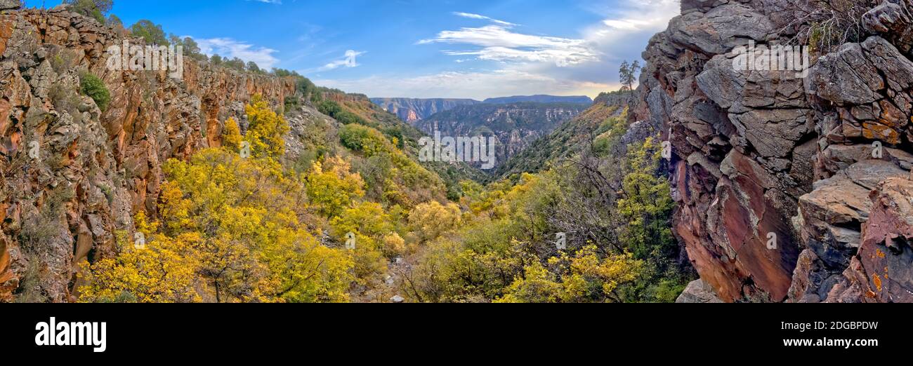 Sycamore Canyon a ovest di Sycamore Point, Kaibab National Forest, Arizona, Stati Uniti Foto Stock