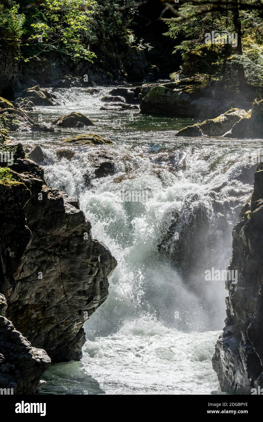 Vista della cascata inferiore, del Parco Provinciale delle Cascate Little Qualicum, del Fiume Little Qualicum, della British Columbia, Canada Foto Stock