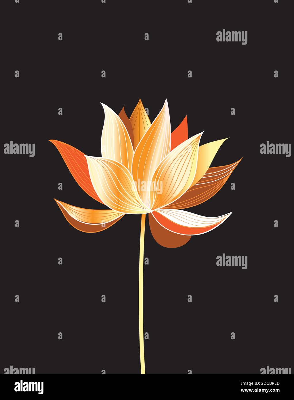 Illustrazione di un bel loto dorato su sfondo nero. Grafica Lotus flower su sfondo scuro. Illustrazione Vettoriale