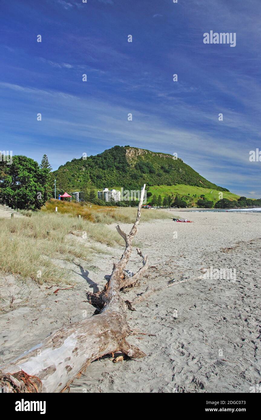 Vista della spiaggia, Mount Maunganui, Tauranga, Baia di Planty Regione, Isola del nord, Nuova Zelanda Foto Stock