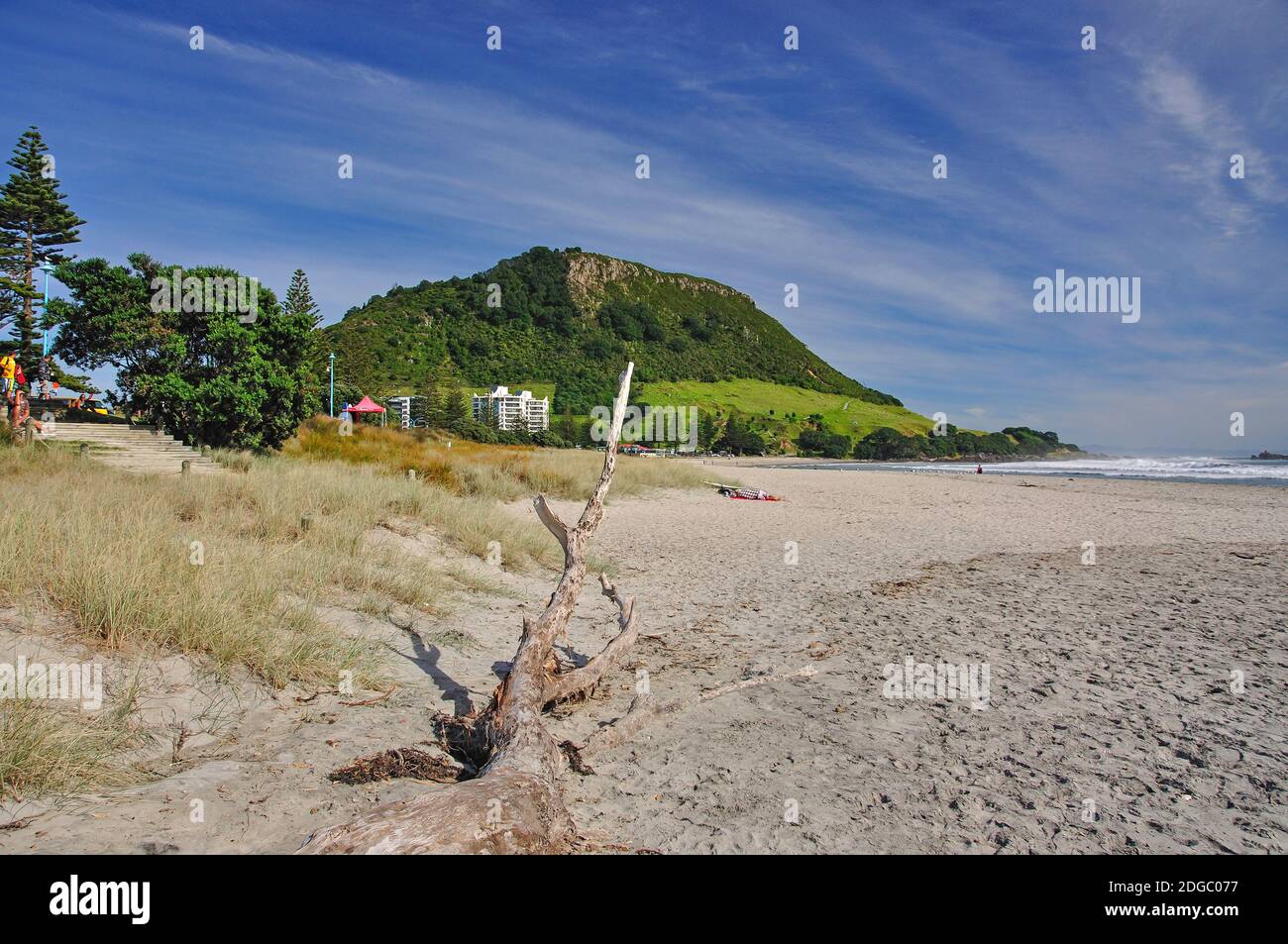 Vista della spiaggia, Mount Maunganui, Tauranga, Baia di Planty Regione, Isola del nord, Nuova Zelanda Foto Stock