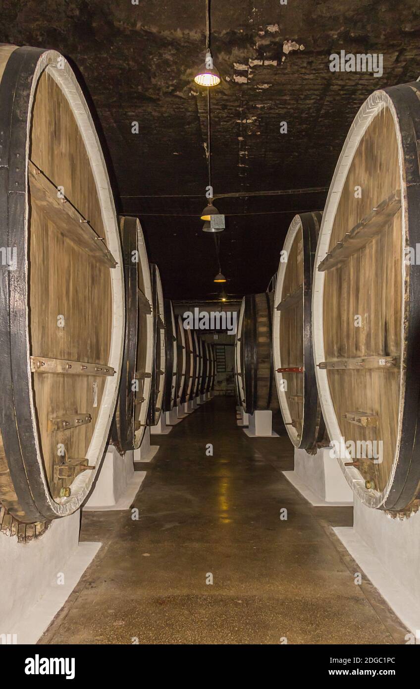 Corridoio magazzino fila di grandi barili di legno di stoccaggio del vino whisky nel seminterrato Foto Stock