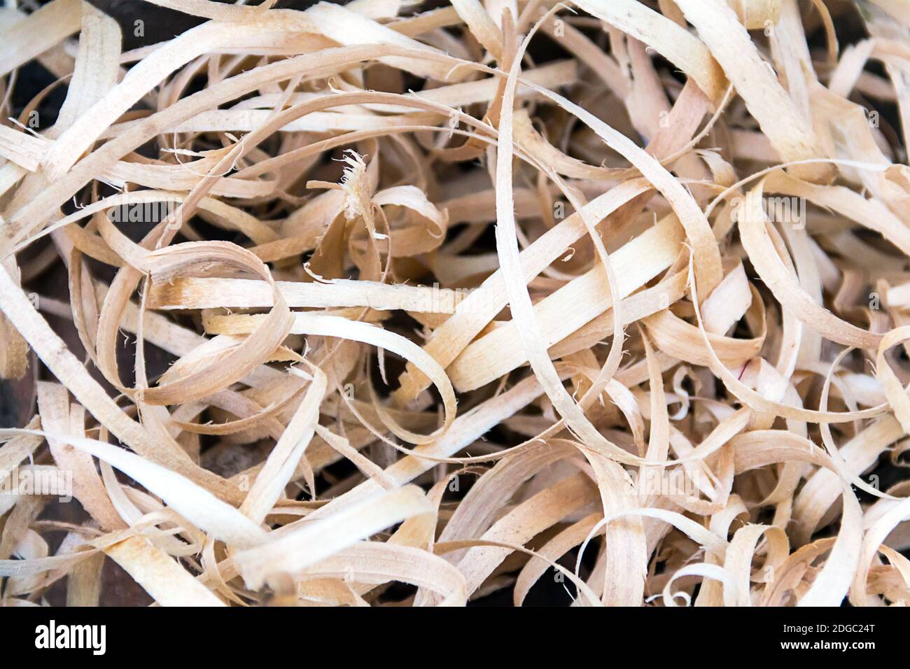 Trucioli di legno strisce beige lunghe residui di manufatti Foto Stock