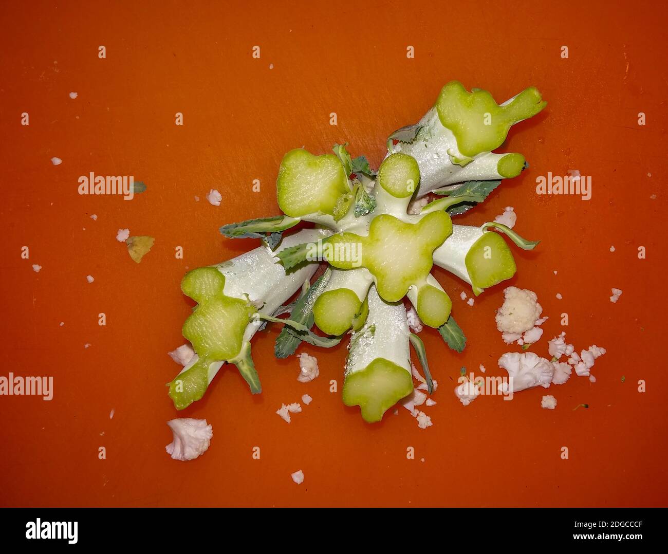 La fine di una corona di broccoli tagliata a New York. (© Richard B. Levine Foto Stock