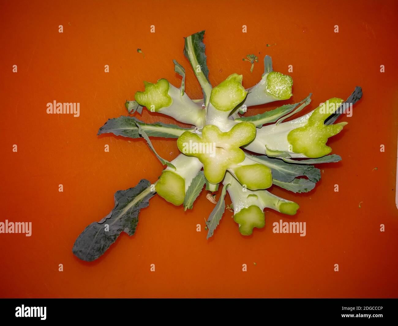 La fine di una corona di broccoli tagliata a New York. (© Richard B. Levine Foto Stock