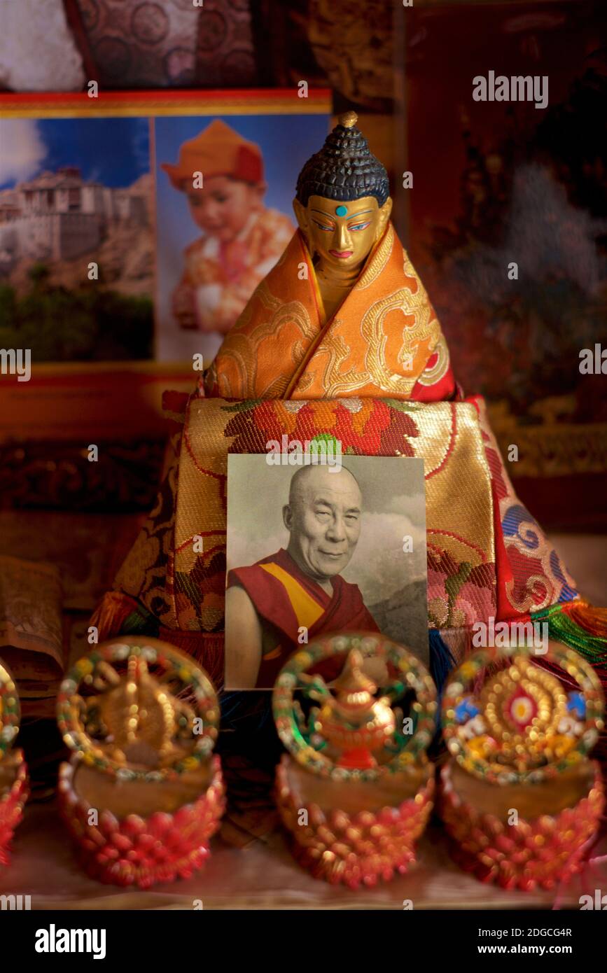 Dettaglio dell'immagine buddha dorato buddista con una fotografia del Dali lama a Spituk Gompa. Leh, Ladakh, Jammu e Kashmir, India Foto Stock