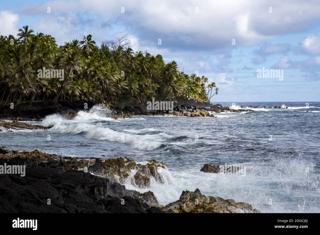 Costa delle Hawaii Foto Stock