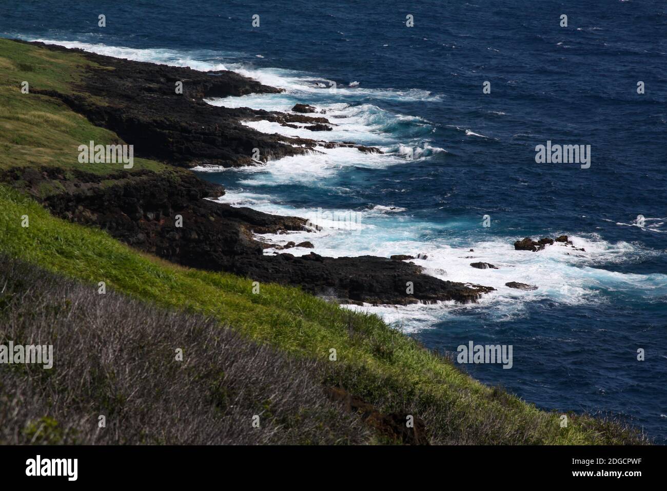 Costa delle Hawaii Foto Stock