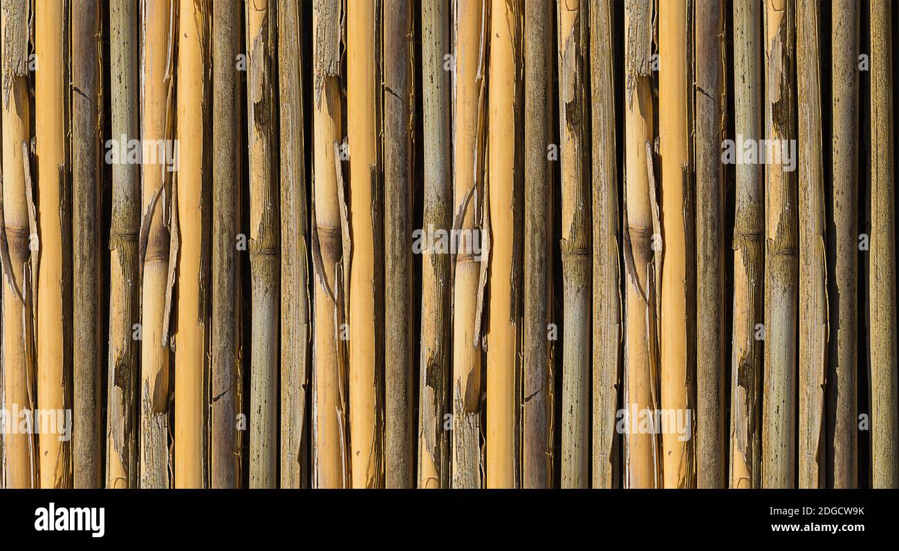 Naturale bio tessitura bambù parete recinzione luce illuminata con luce Foto Stock