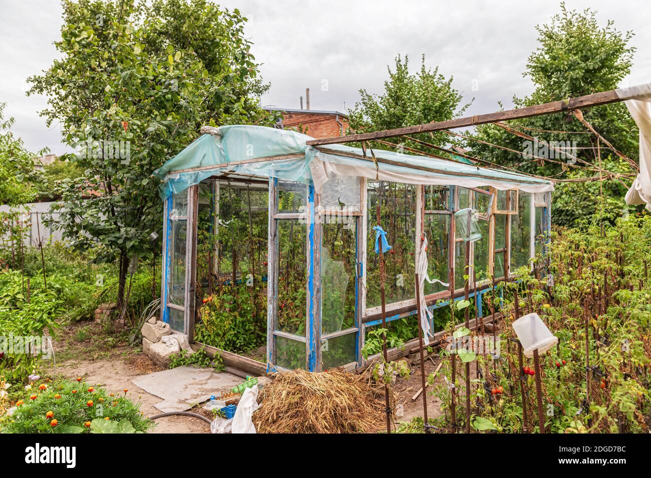 Costruzione di una serra nel giardino da rottami di materiali Foto Stock