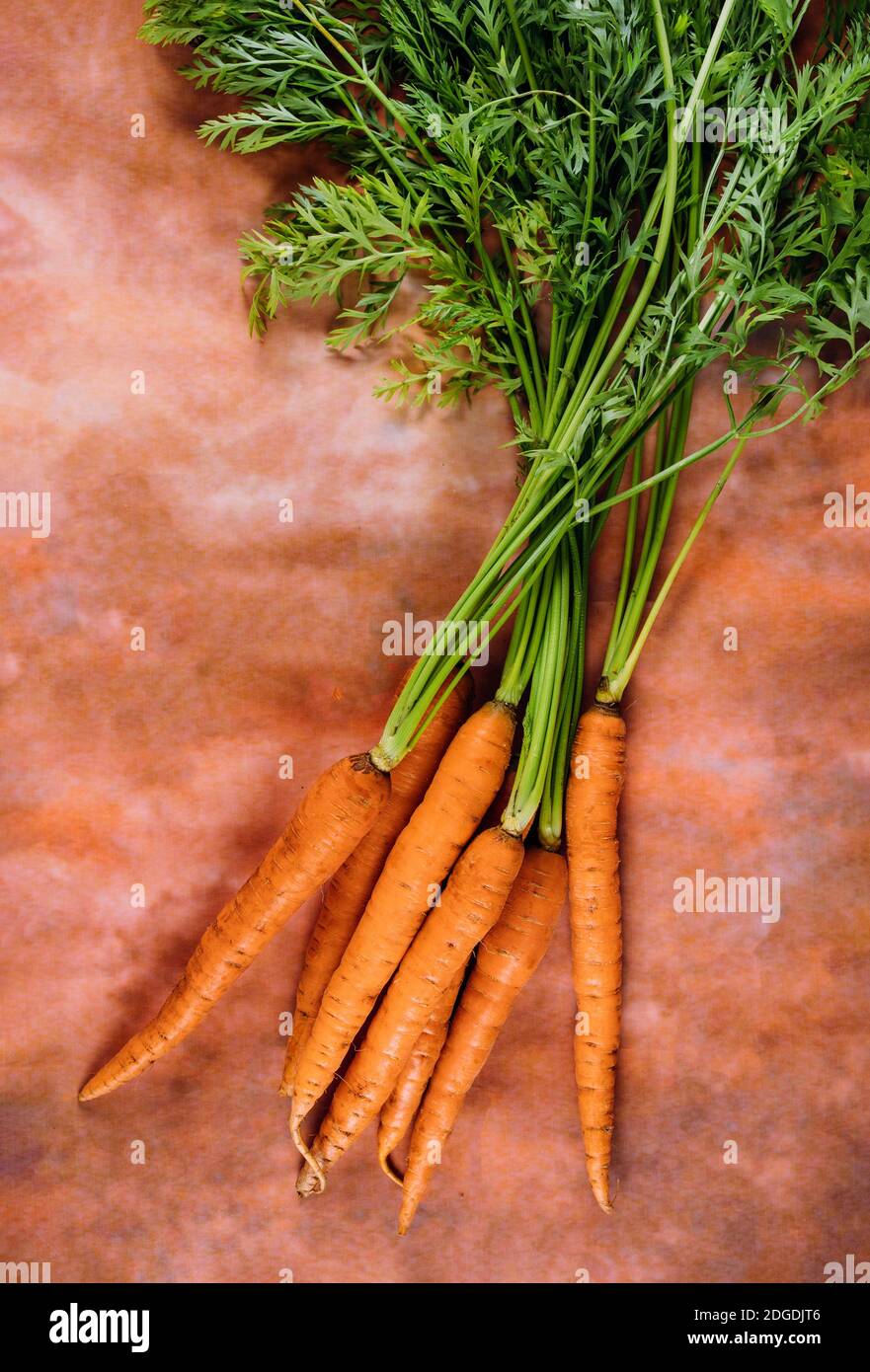 Mazzo di carote fresche con steli verdi. Foto Stock