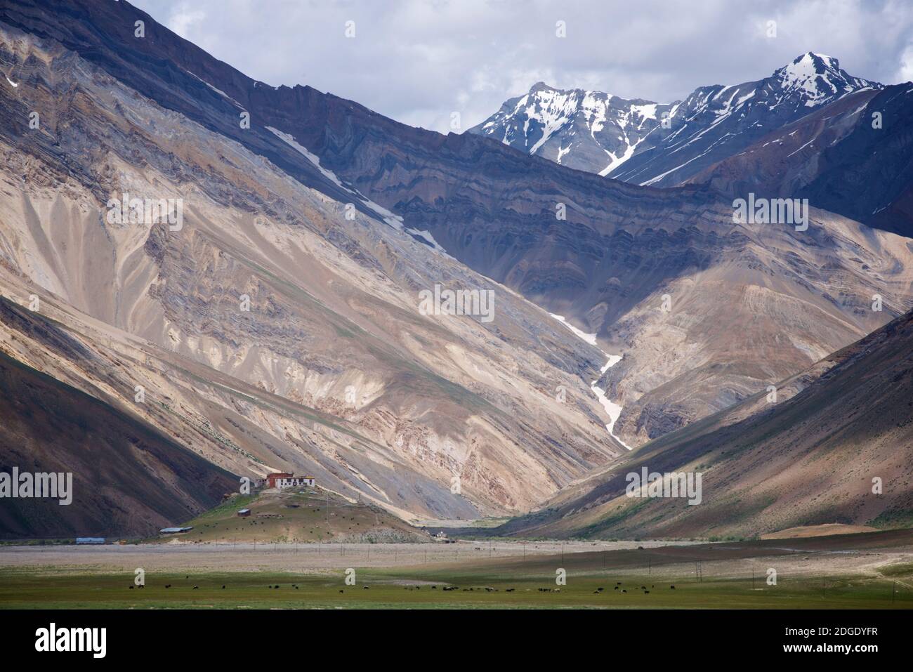 Il monastero buddista tibetano si trova in cima a una collina. Suru Valley, vicino a Rangdum, Zanskar, Ladakh, Jammu e Kashmir, India Foto Stock