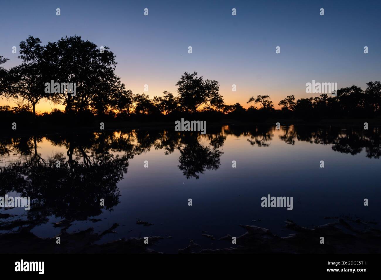 Tramonto africano, Botswana Africa, tramonto sul laghetto ippopotamo in Africa. Foto Stock