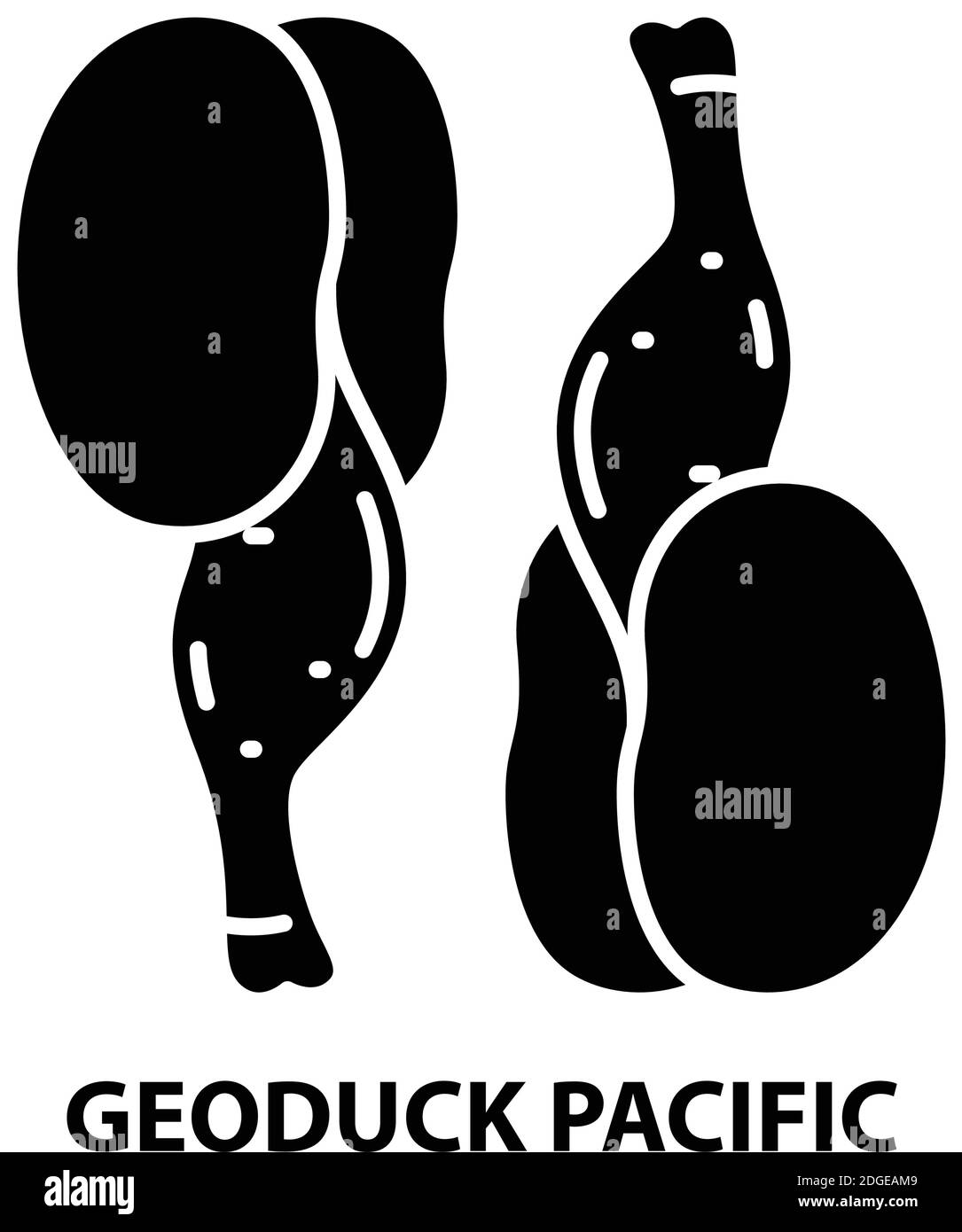 icona di geoduck pacific, segno vettoriale nero con tratti modificabili, illustrazione concettuale Illustrazione Vettoriale