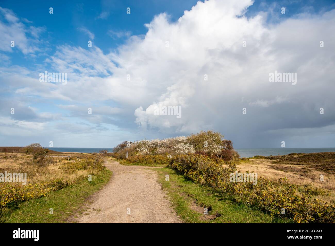 Pioggia anteriore Foto Stock