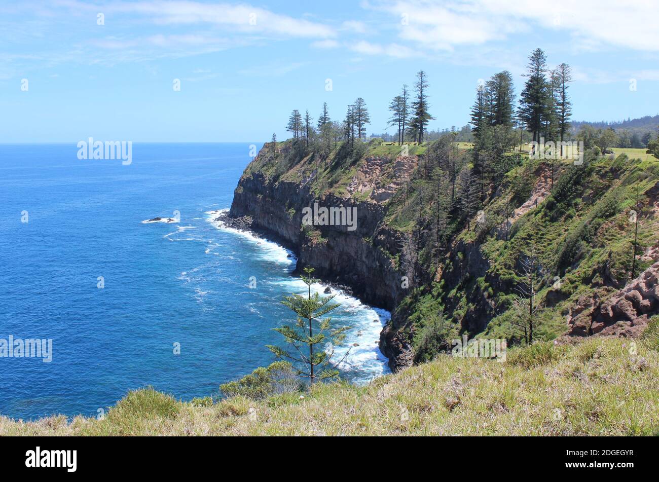 Norfolk Island, riserva di pietre miliari, Norfolk Island Reserves & Forestry. Foto Stock