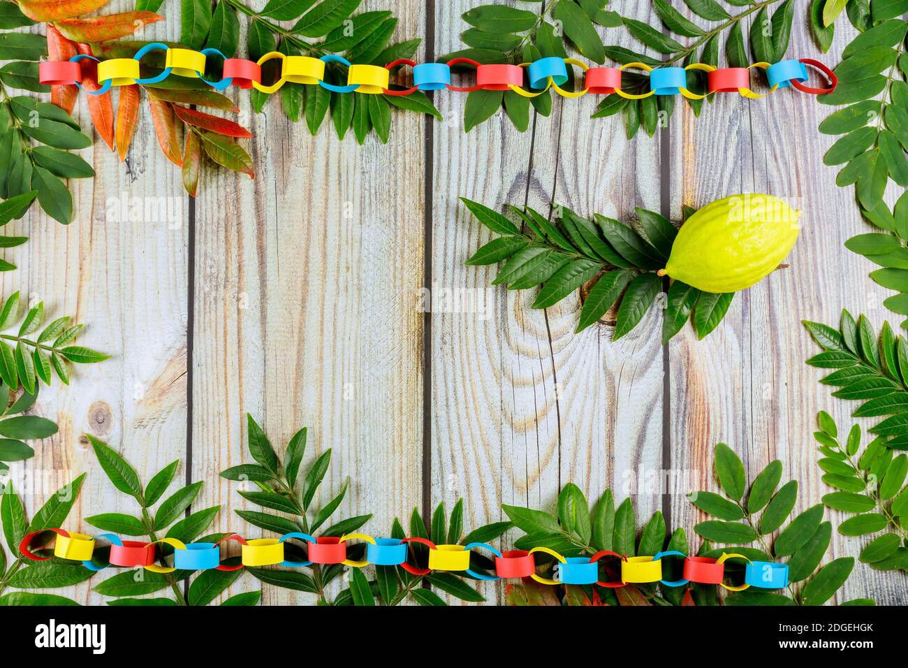 Etrog per la festa ebraica del festival di sukkot Foto Stock