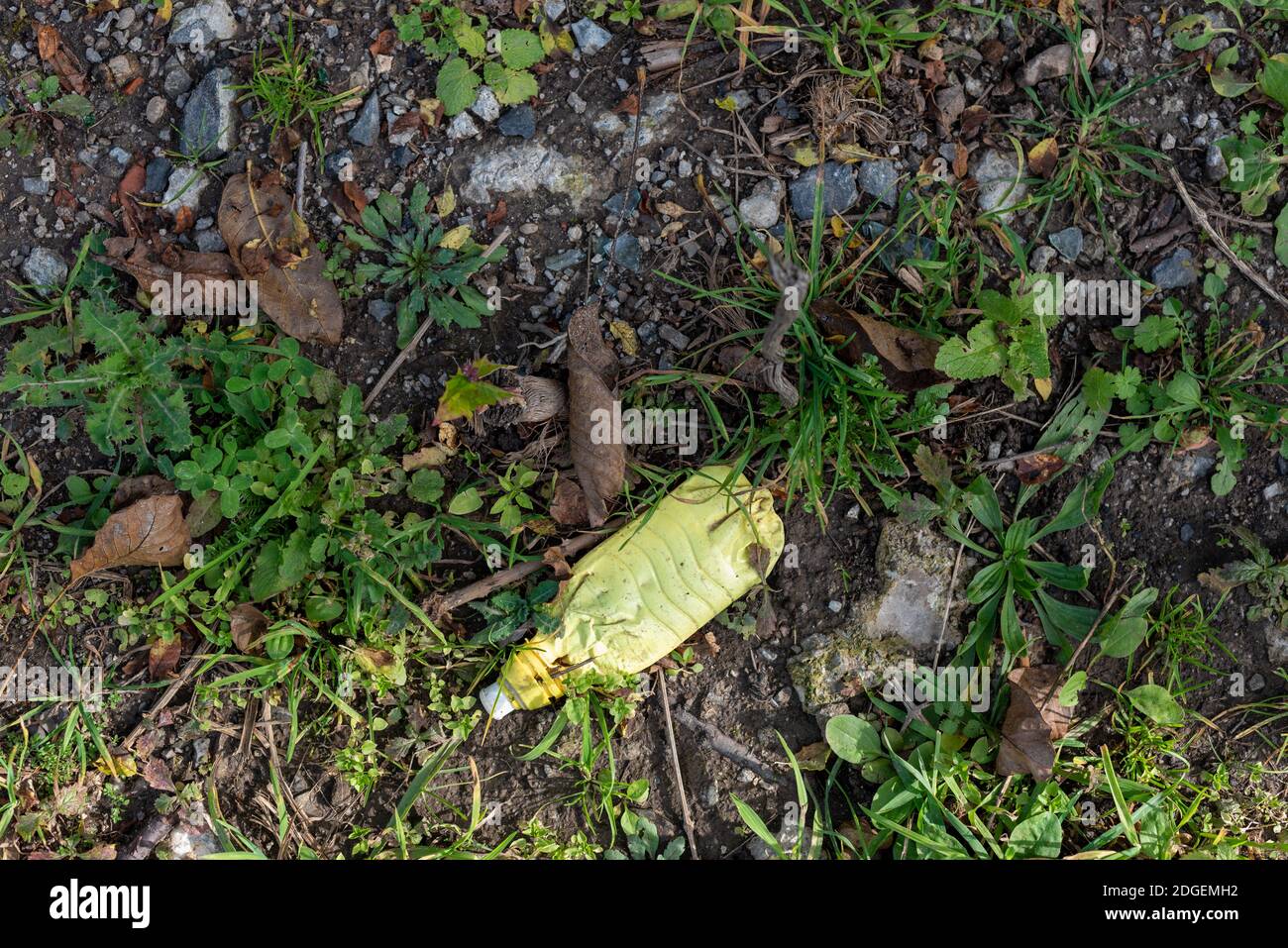 Vecchia plastica invecchiata in erba foresta sporco inquinamento questione ambientale conversazione Foto Stock