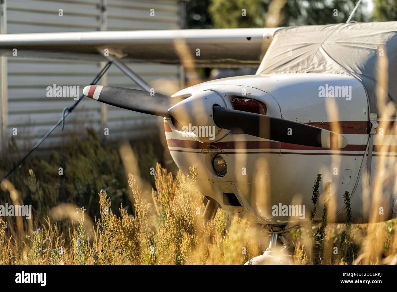 Piccoli aerei su un campo aereo Foto Stock