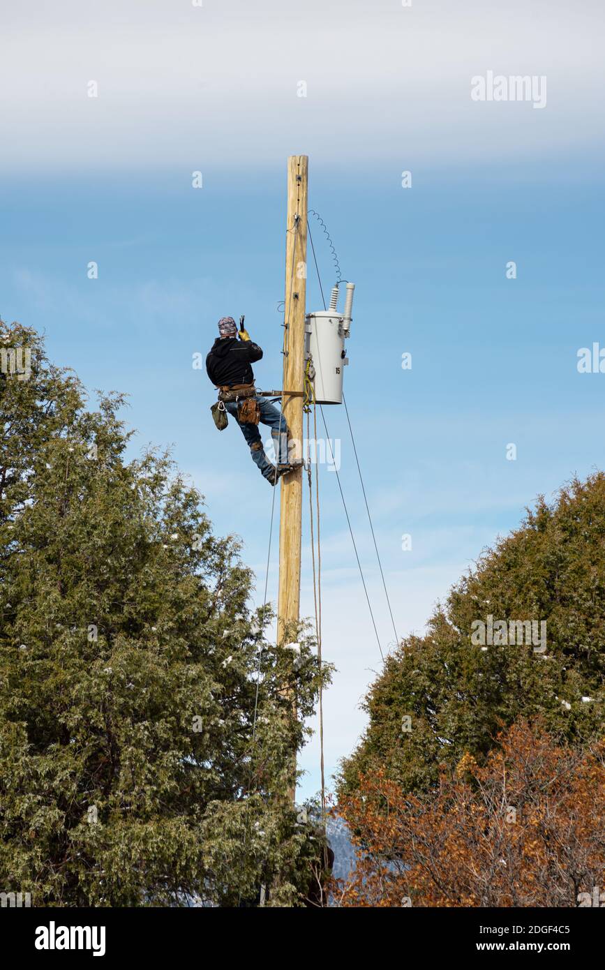 Un uomo della linea si appoggia a un'imbracatura mentre lavora su un palo trainato da due alberi di ginepro, Rio Arriba County, Lumberton, New Mexico, USA. Foto Stock