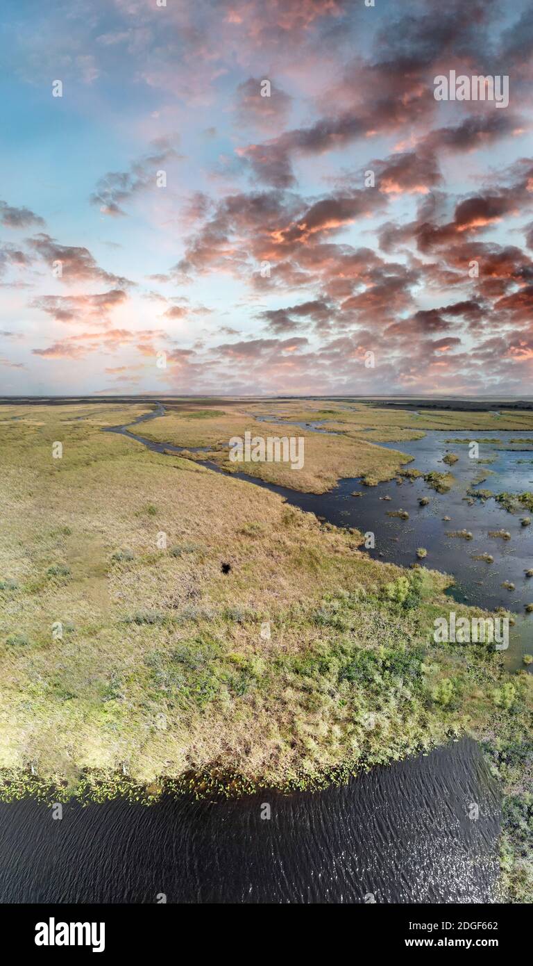 Veduta aerea del torrente e delle paludi nelle Everglades della Florida, Stati Uniti Foto Stock