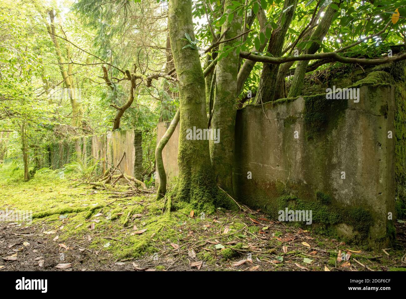 Dinas Mawddwy Foto Stock