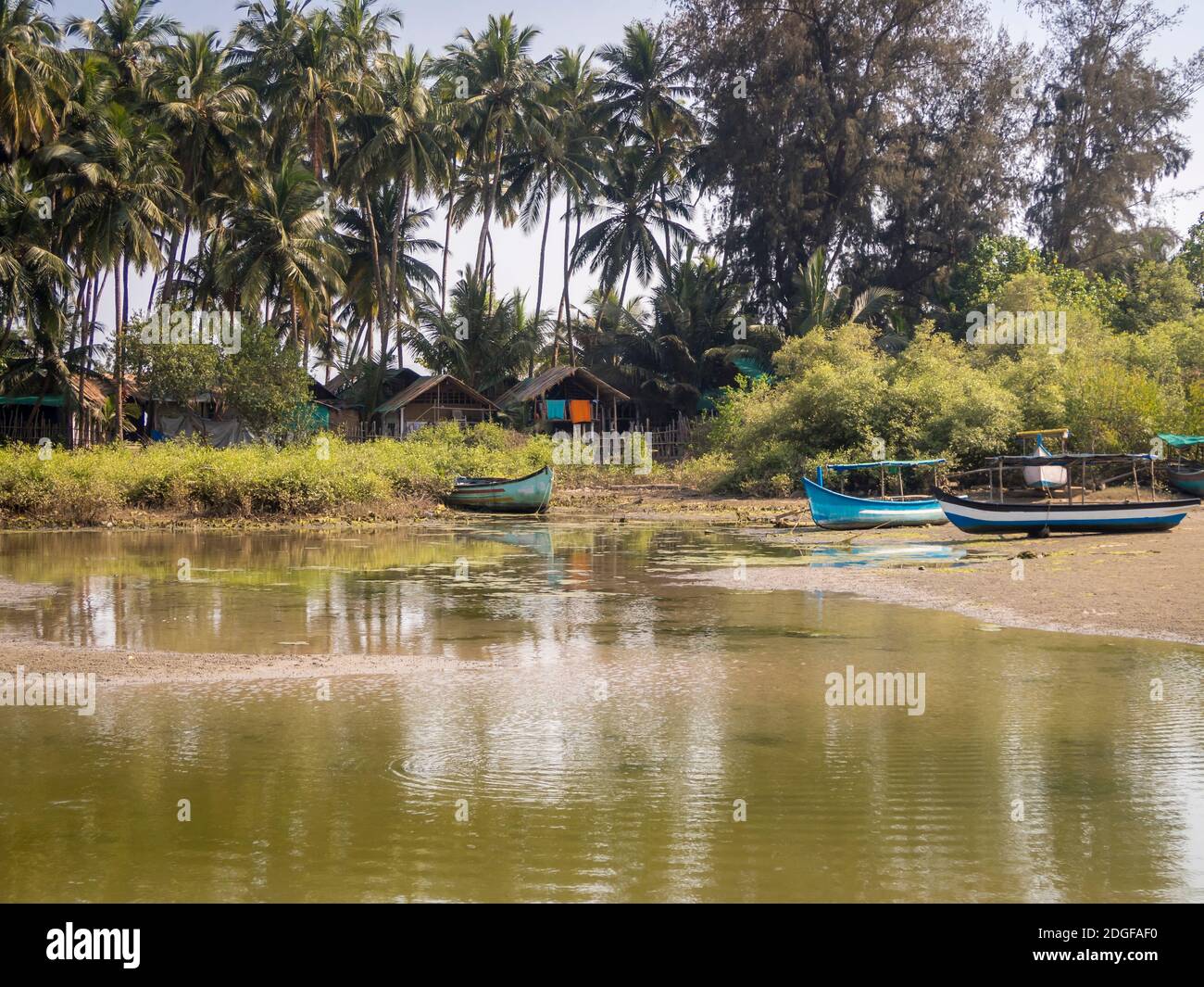 Barche da pesca al tramonto in una laguna vicino a un villaggio a Goa, India Foto Stock