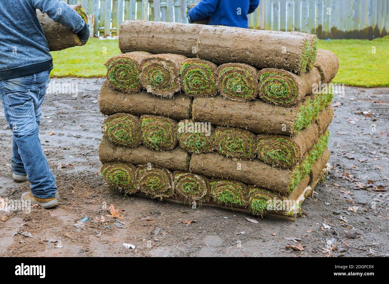 Nuovi rotoli di erba erbosa fresca pronti per essere utilizzato per il giardinaggio Foto Stock