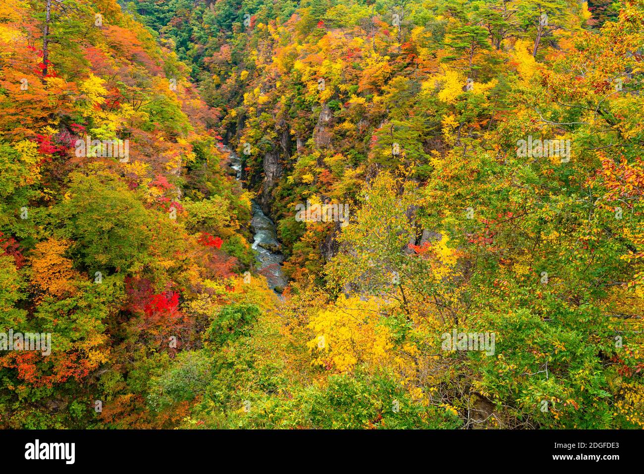 Splendido paesaggio panoramico di montagna a Naruko Gorge Foto Stock