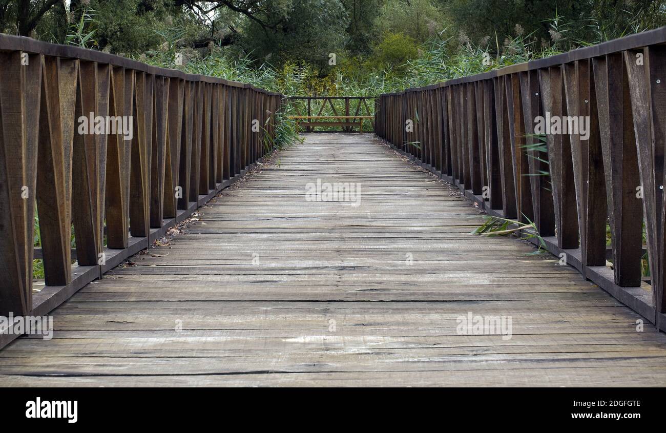 Ponte di legno sentiero Foto Stock