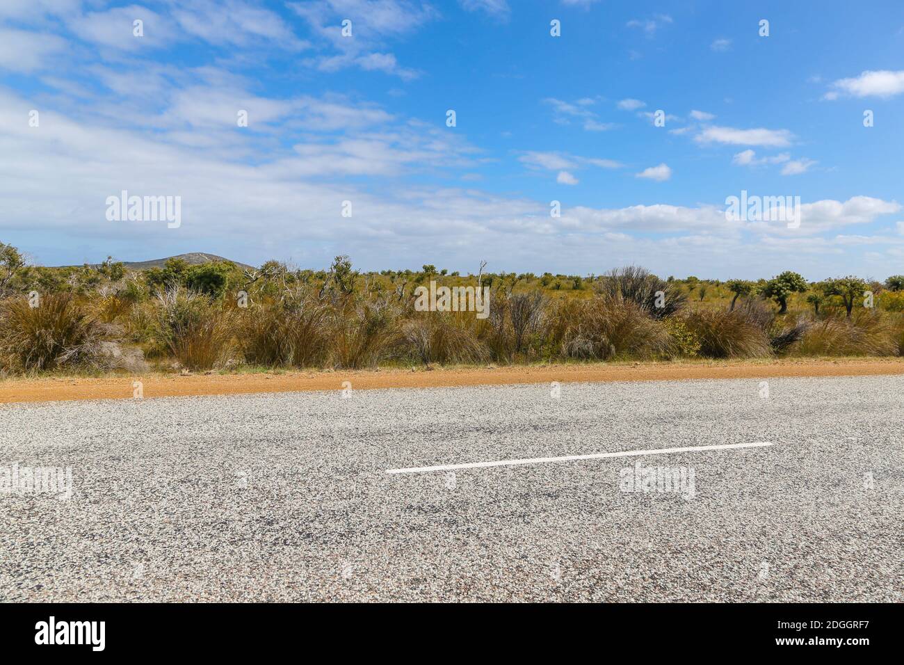 Strada nel Capo le Grand Nationalpark vicino a Esperance In Australia Occidentale Foto Stock