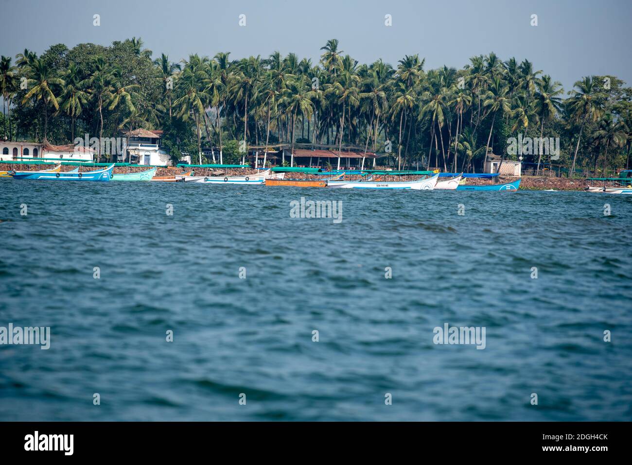 Goa, India -10 novembre 2020, la vista da una barca della spiaggia di cocco a Goa Foto Stock