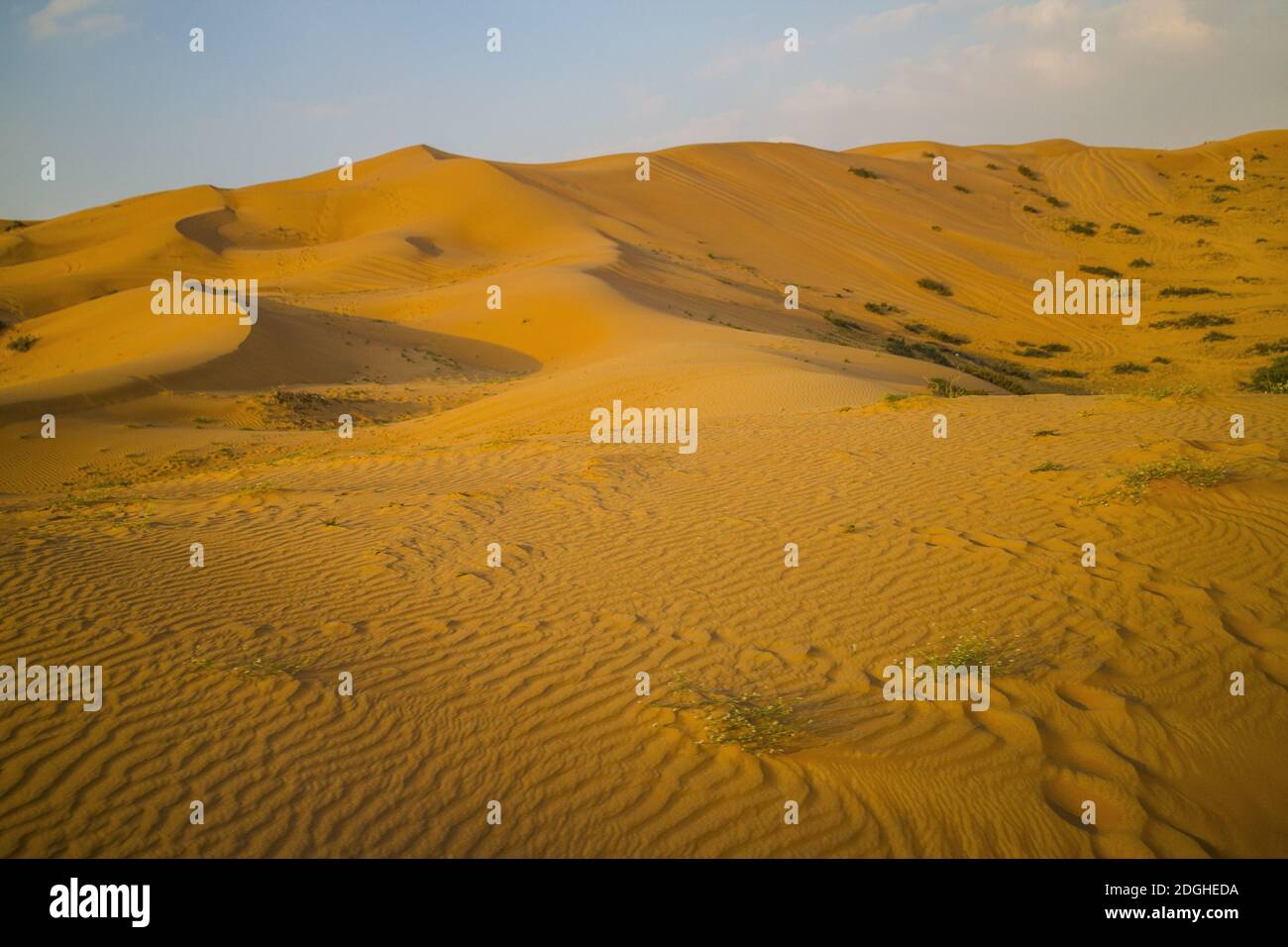 Il deserto, Ras al Khaimah, Emirati Arabi Uniti Foto Stock