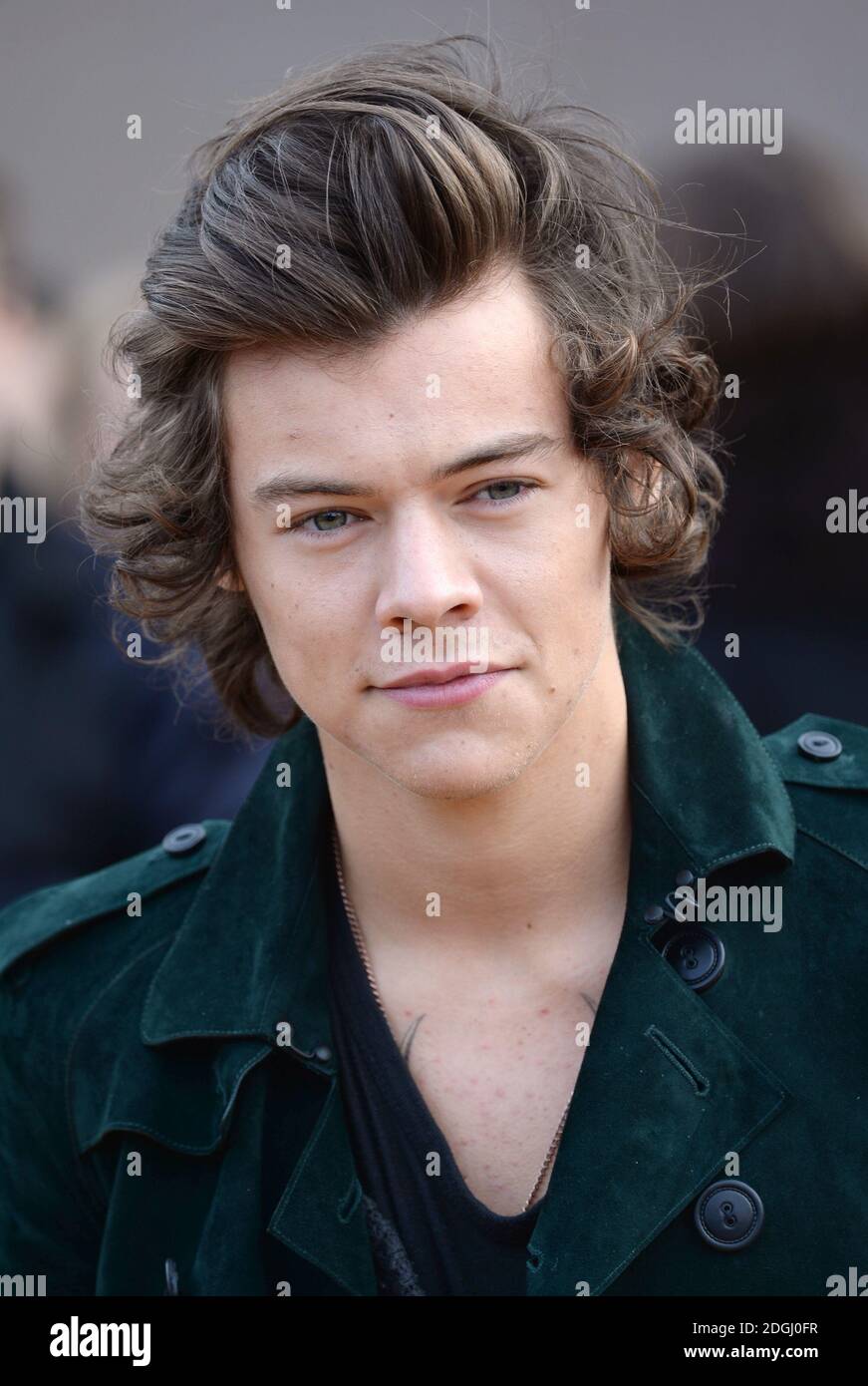 harry styles burberry