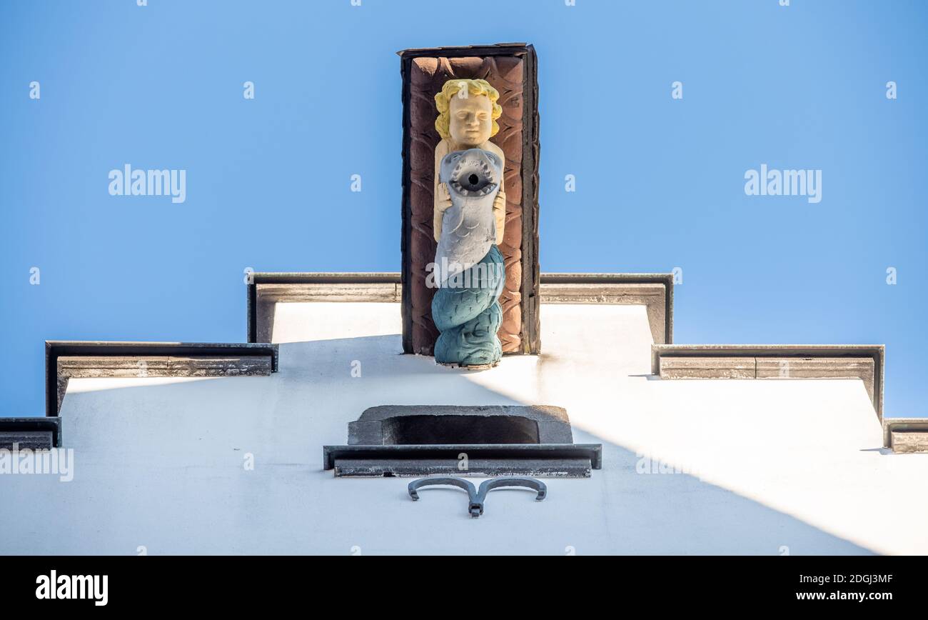 Traverse gru Foto Stock