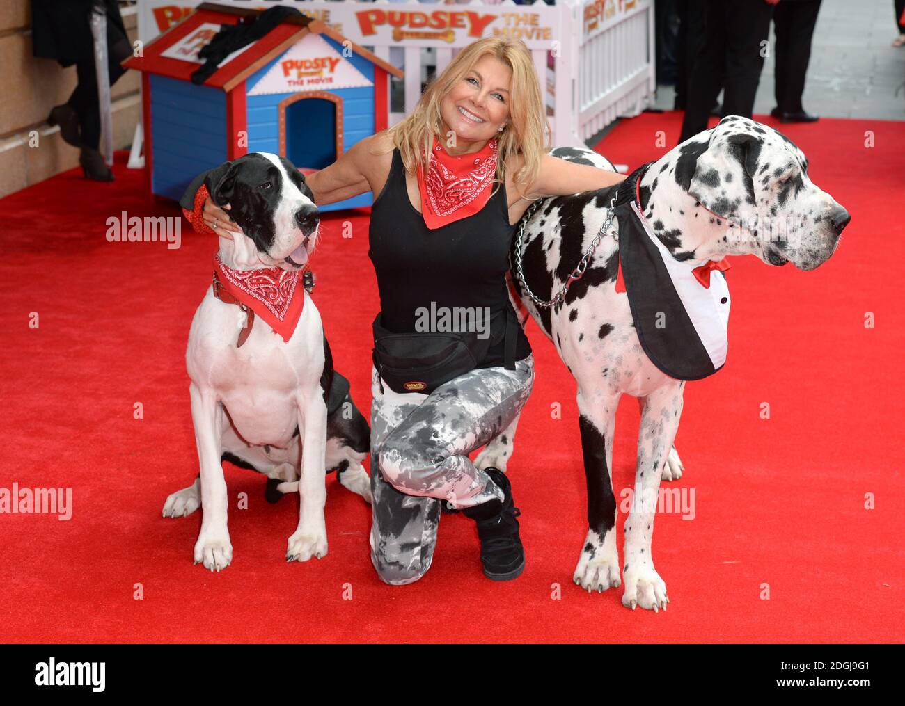 Jilly Johnson arriva alla prima mondiale di Pudsey the Dog, The Movie, Vue Cinema, Leicester Square, Londra Foto Stock