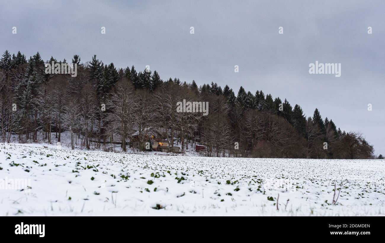 La taverna Felsenkeller Etzelwang nascosto nella foresta in inverno nuvoloso sera Foto Stock