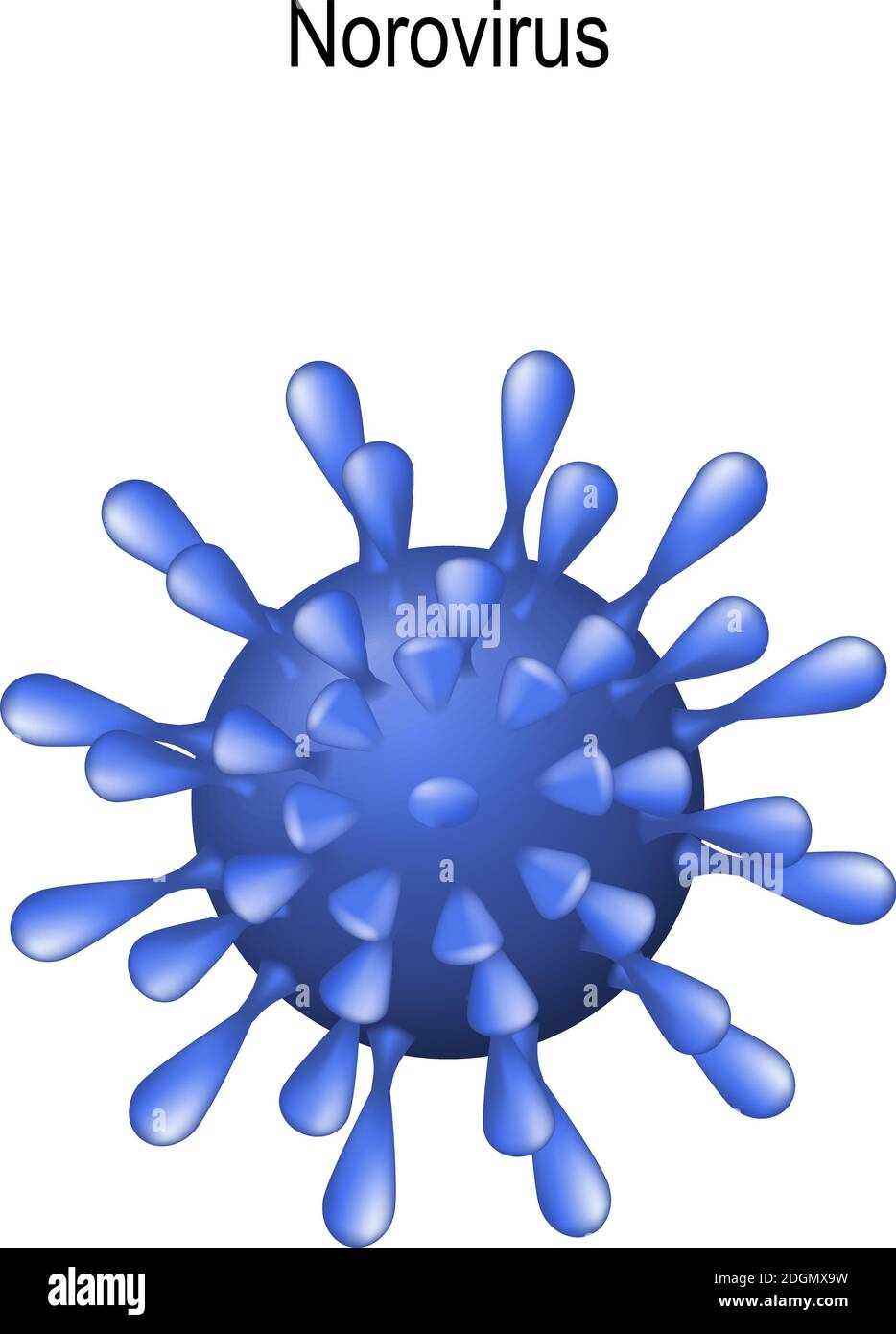 Virus norovirus o Norwalk. Virione su sfondo bianco. Inverno vomito bug è causa di gastroenterite. Illustrazione vettoriale per biologico Illustrazione Vettoriale